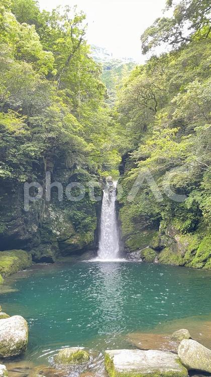 高知県の青い秘境！仁淀ブルーにこ淵 にこ淵,仁淀ブルー,仁淀川の写真素材