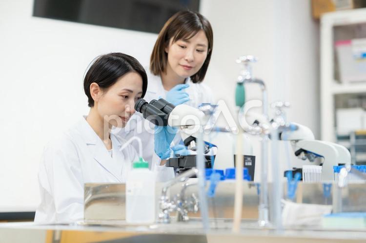 研究所で実験をする研究者 研究,実験,科学の写真素材