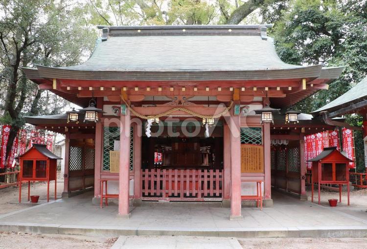 長田神社　楠宮稲荷社 長田神社,ながたじんじゃ,楠宮稲荷社の写真素材