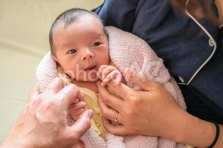 赤ちゃんを触る両親の手(その２８) 家族,赤ちゃん,日本人の写真素材