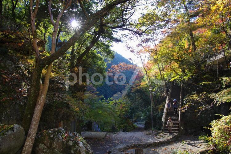 鳩ノ巣渓谷（人の顔にはモザイク） 鳩ノ巣渓谷,秋,鳩ノ巣の写真素材