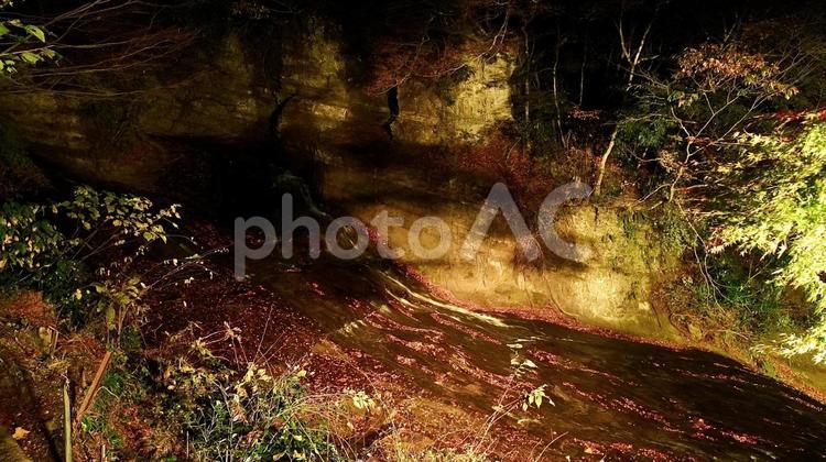 千葉県養老渓谷　夜の紅葉の粟又の滝 紅葉,粟又の滝,養老渓谷の写真素材