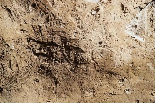 Dirt ground with footprints, JPG Dirt ground with footprints, JPG