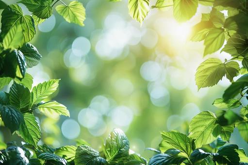 新緑と玉ボケが美しい自然背景の写真