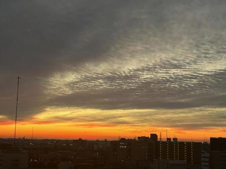 静かな朝の始まり 朝,夜明け,都市の写真素材