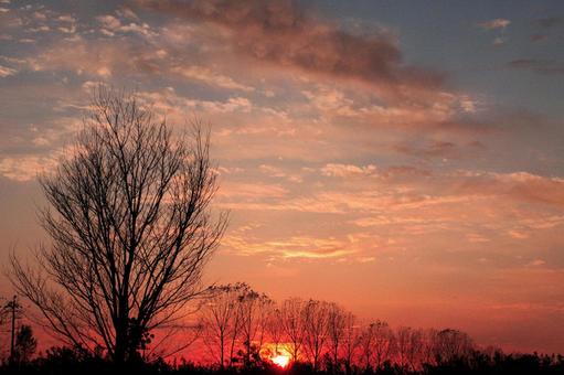 夕焼け 夕焼けの写真