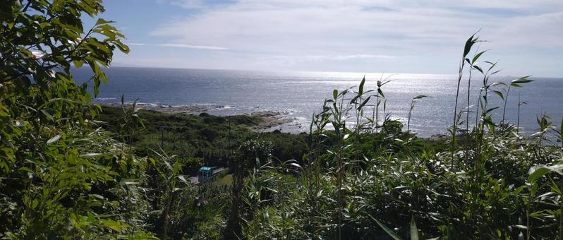 洲崎神社から見た海の写真