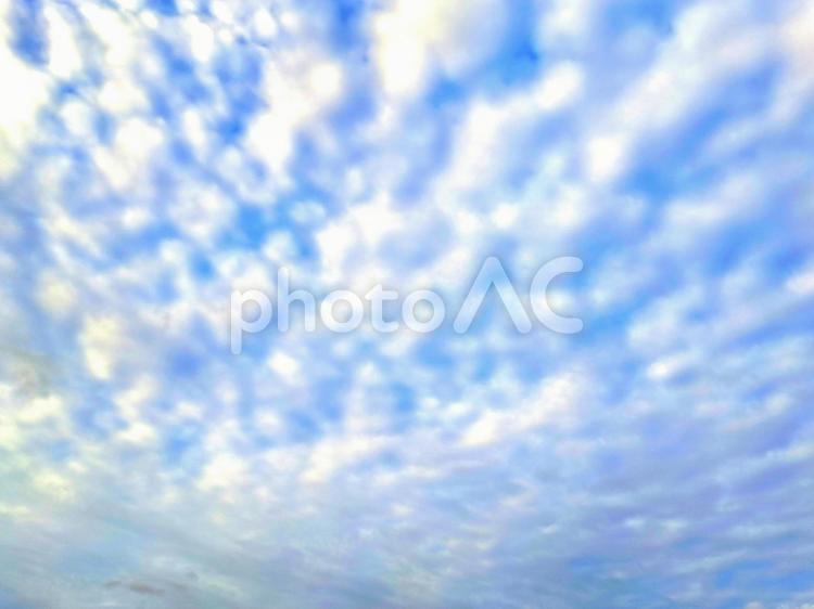 ちぎれ雲の空模様 ちぎれ雲,空模様,空の写真素材