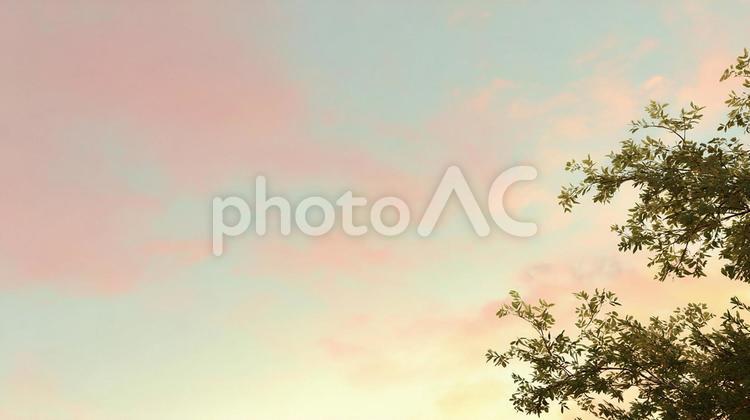 美しい夕暮れの空色 夕焼け,空,グラデーションの写真素材