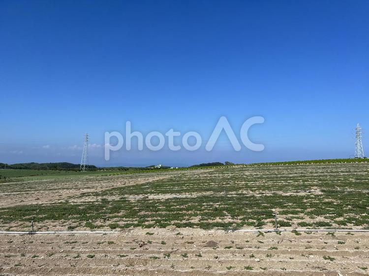田舎風景 田舎,畑,空の写真素材