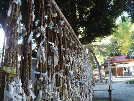 ご縁を結ぶ 神社,おみくじ,結ぶの写真素材