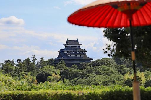 現存天守松江城30 現存天守松江城30の写真