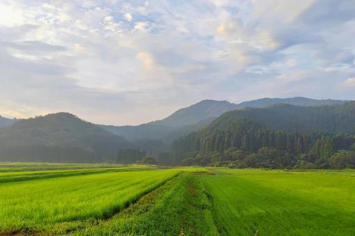 広大な田園風景 広大な田園風景 田,田んぼ,水田の写真素材