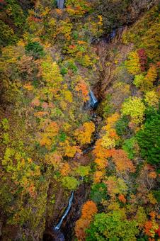 福島県　磐梯吾妻スカイラインの風景 磐梯吾妻スカイライン,福島,福島県の写真素材
