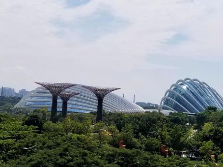 シンガポールの旅 シンガポール,植物園,建築物の写真素材