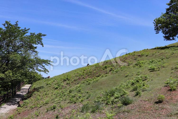 緑の山のなだらかな斜面 山,斜面,なだらかの写真素材
