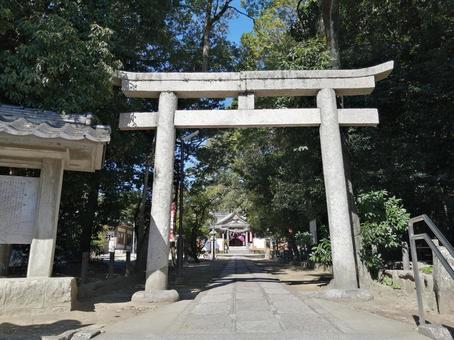 阿比太神社　南参道 阿比太神社,南参道,鳥居の写真素材