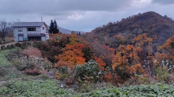 魚沼スカイラインの紅葉・護国観音苑付近 紅葉,魚沼スカイライン,秋の写真素材