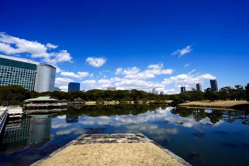 日本らしい庭園風景 日本らしい庭園風景の写真