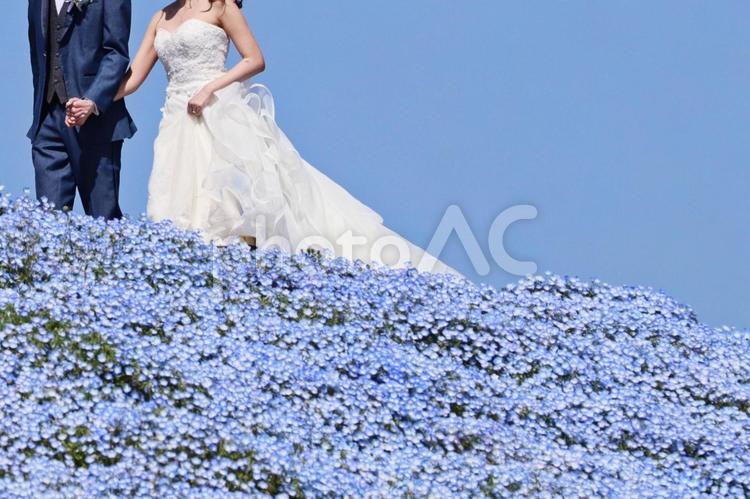 結婚やウェディングのイメージ 結婚,ウェディング,ウエディングの写真素材