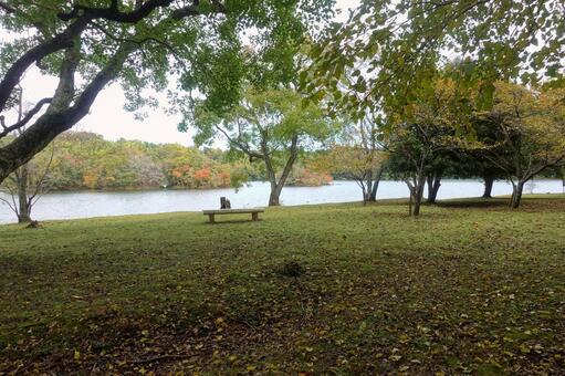 湖の色づき始めた初秋の風 湖面,初秋,色づき始めの写真素材