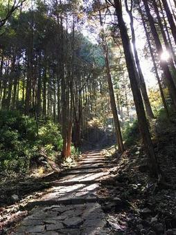 岩村城跡登城路 岩村城跡登城路の写真