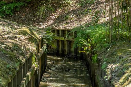 木漏れ日の入る公園の小川 木漏れ日の入る公園の小川の写真