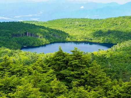 白駒池 八ヶ岳,にゅう,天狗岳の写真素材