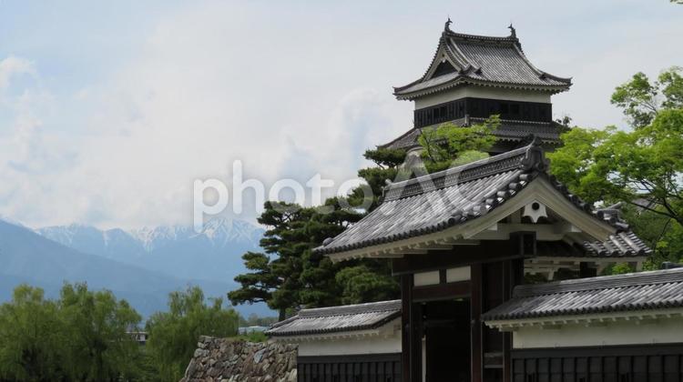 松本城　北アルプスを背景に黒門と天守閣 松本城,深志城,平城の写真素材