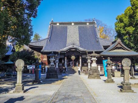【栃木県】足利市・鑁阿寺 鑁阿寺,足利市,寺社仏閣の写真素材