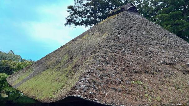 苔むす茅葺き屋根　田舎の古民家　 茅葺き,屋根,コケの写真素材