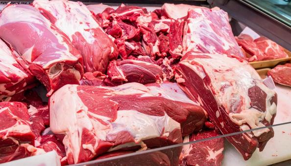 肉 肉の写真