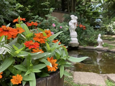 花 花の写真