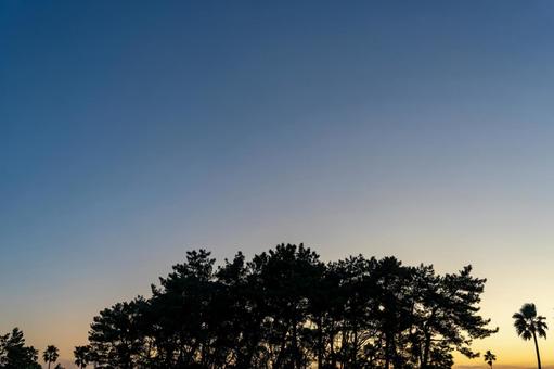 夕暮れの空と木のシルエットと夕焼け 夕焼け,夕日,夕方の写真素材
