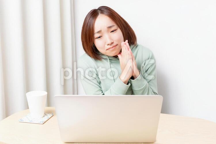 ノートパソコンを使いながらお願いのジェスチャーをする女性 女性,パソコン,ノートパソコンの写真素材