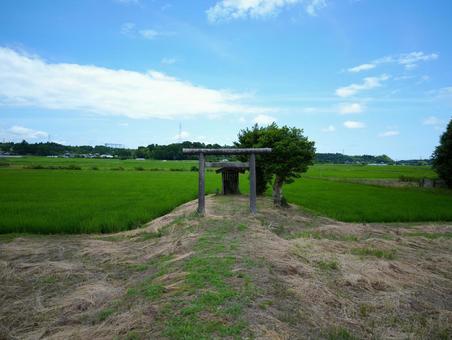 豊穣の神 祠,神社,田園の写真素材