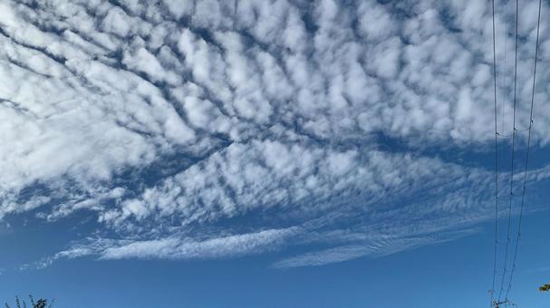 龍のように見える秋の雲 龍のように見える秋の雲の写真