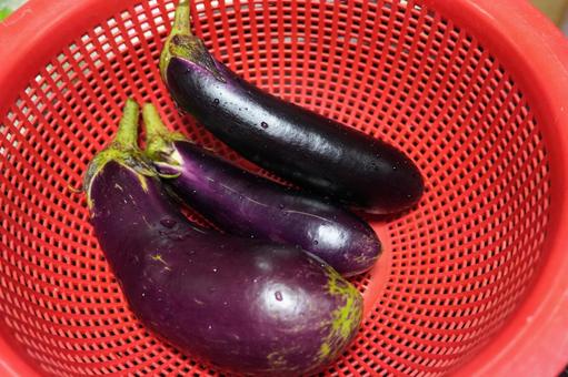 赤いザルのナス3本(ハイアングル) 赤いザルのナス3本(ハイアングル) なす,茄子,ナスの写真素材