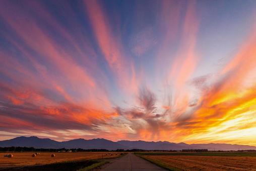 Sunset and wheat field, JPG