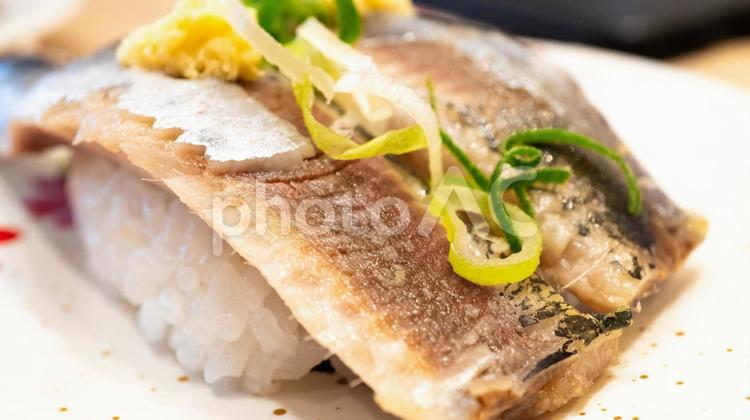 鰯のにぎり寿司 寿司,イワシ,にぎり寿司の写真素材