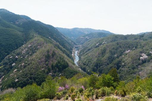 春の保津峡 桜,春,保津峡の写真素材