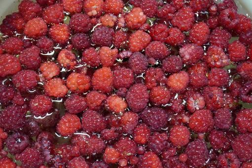 Raspberry washing04, JPG