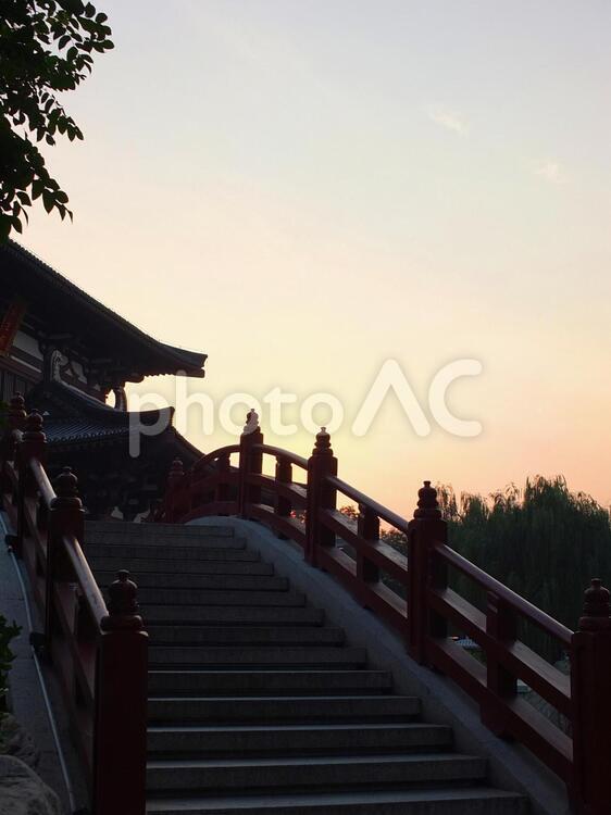 夕焼けに栄える橋 夕日,夕焼け,橋の写真素材