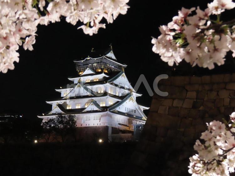 大阪城と桜 木,公園,風景の写真素材