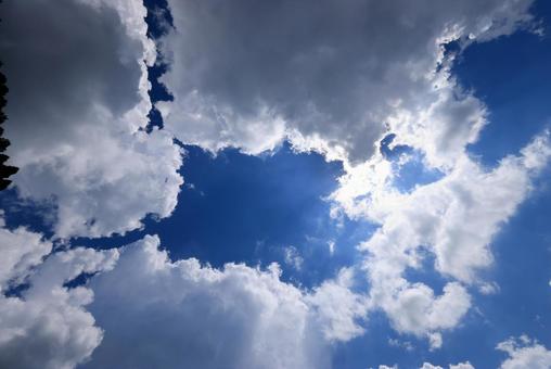 夏空 夏空の写真