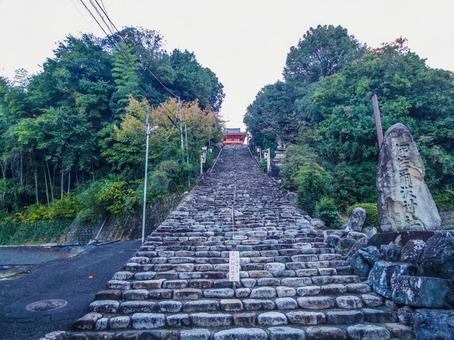 【愛媛県】松山市・伊佐爾波神社 伊佐爾波神社,道後温泉,松山市の写真素材