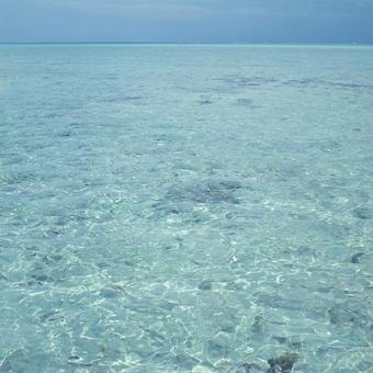 透明度が高い海 透明度が高い海 海,綺麗,水の写真素材