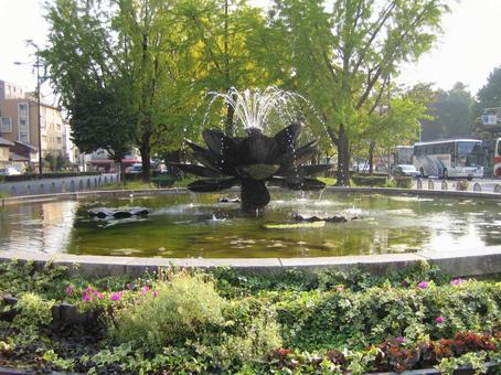 Lotus fountain, japon, lotus, fleurs, JPG