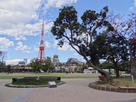 芝公園から見える東京タワー 芝公園から見える東京タワーの写真