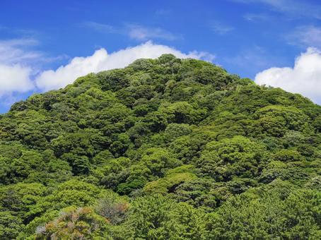 指月山と青空 指月山,夏,海岸の写真素材